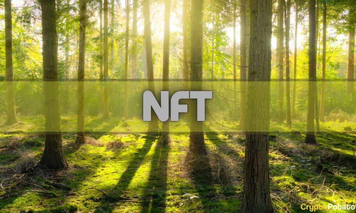 NFT Pazar Yerleri: Komisyonlar, Telif Yansıtma ve Likidite