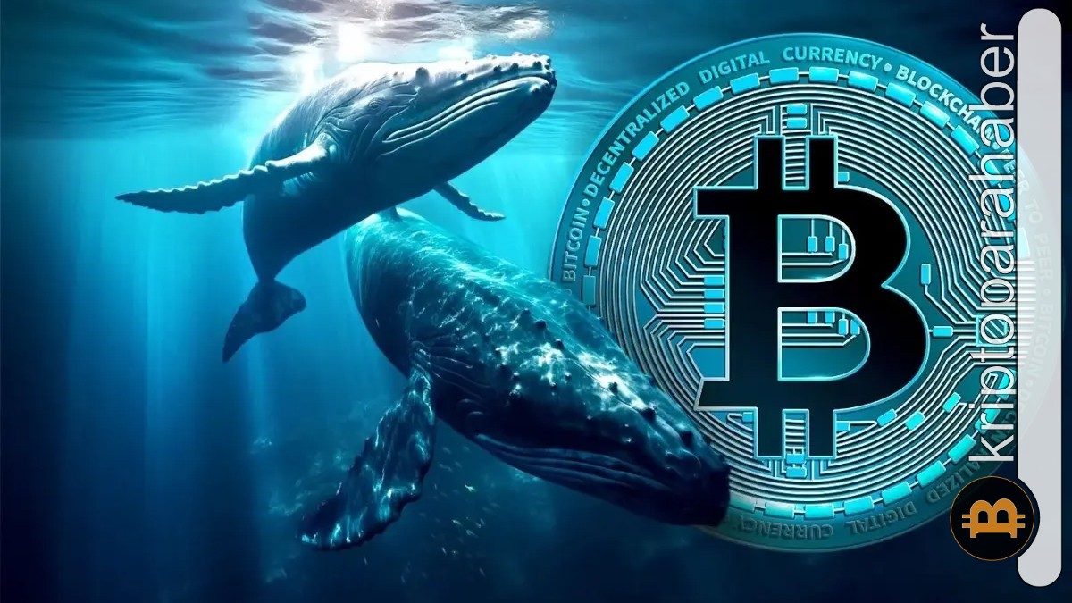 kripto alarmları, fiyat alarmı, hacim alarmı, balina takibi, köprü basımı uyarısı