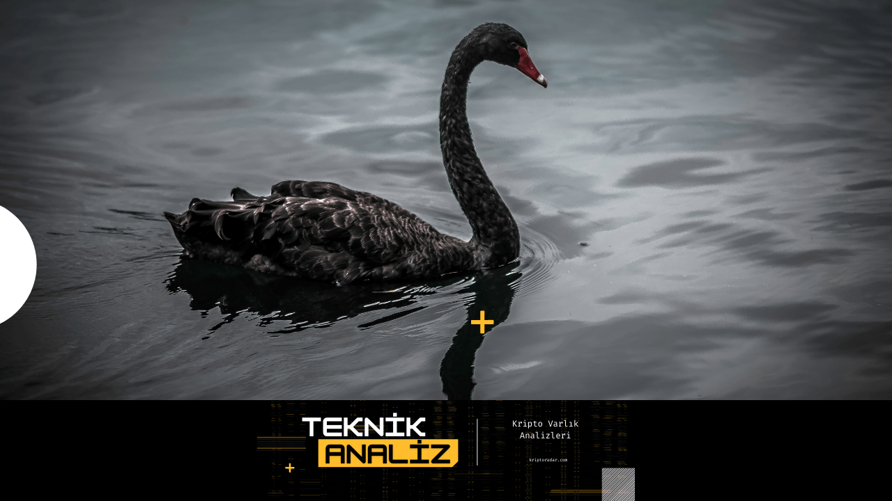 Black Swan Protection: Kara Kuğu Koruması