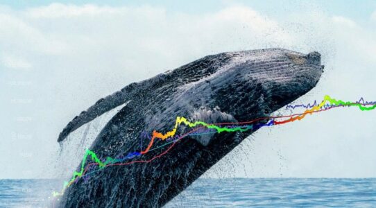 Şok Balina Transferleri: Milyonlarca Dolar Taşındı