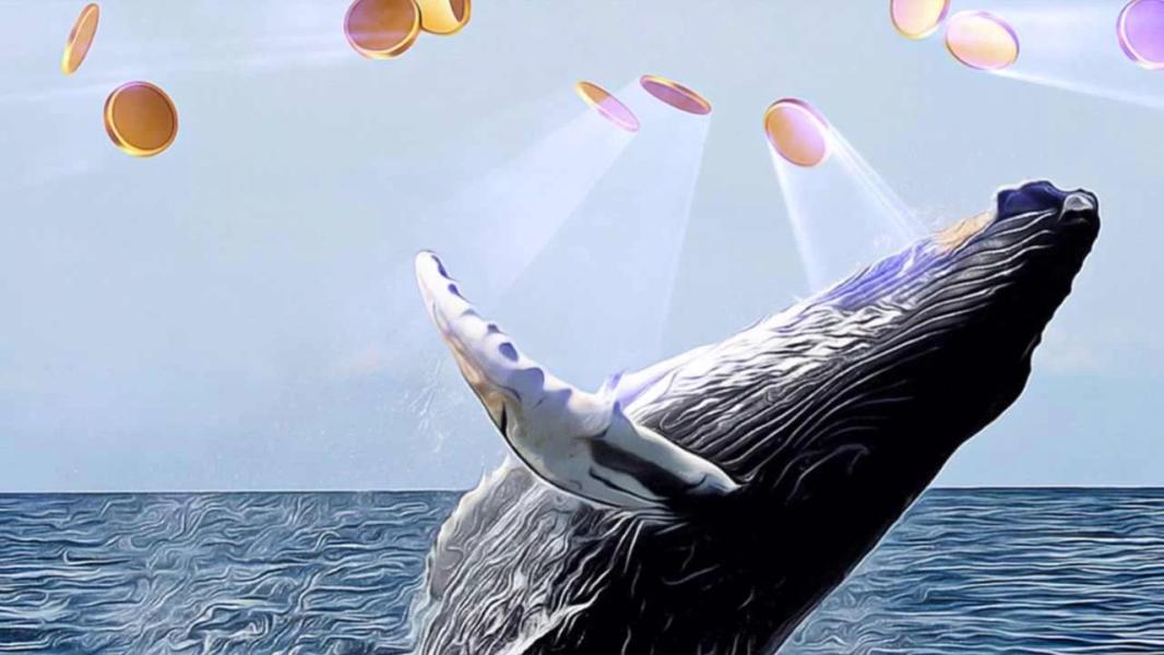 Balina Alarmı: Dev Cüzdanlar Aynı Anda Boşaldı—Büyük Düşüşün İşareti mi?